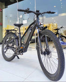 FUSION ELECTRIC BIKE