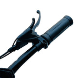Road King Electric Scooter