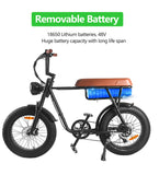 Super Electric Bike