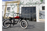 Terminator E Bike