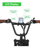 Super Electric Bike